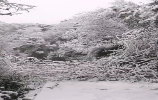 戰暴雪、保供電！湖南發展鳥兒巢公司應對極端天氣緊急搶修失電故障